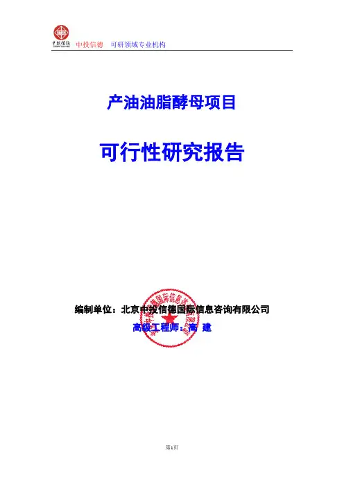 废塑料热裂解制取液体燃料项目可行性研究报告编写格式及参考(模板word)