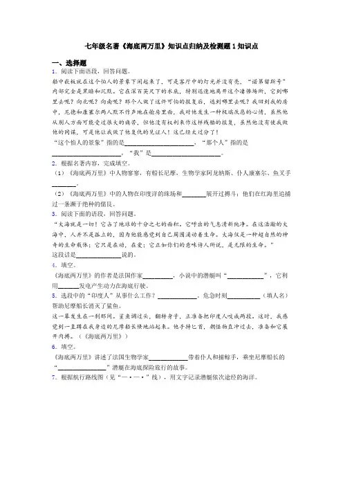 七年级名著《海底两万里》知识点归纳及检测题1知识点