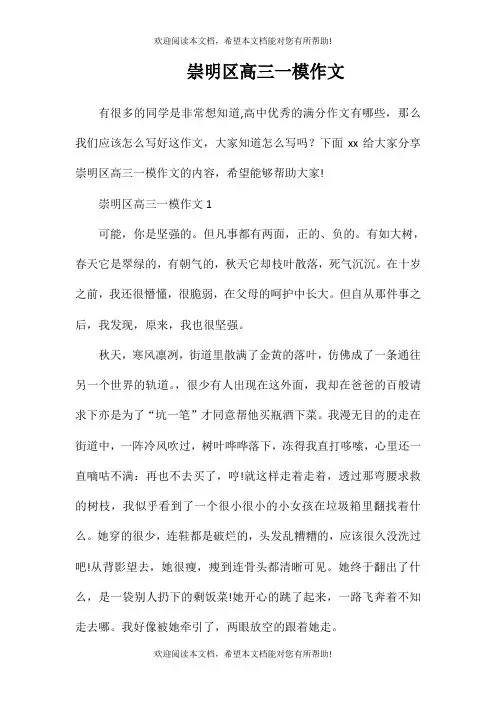 崇明区高三一模作文
