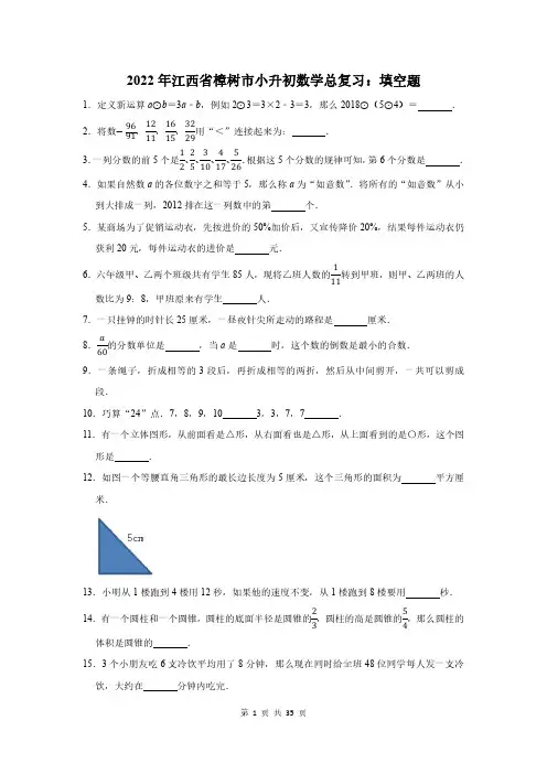 2022年江西省樟树市小升初数学总复习：填空题附答案解析