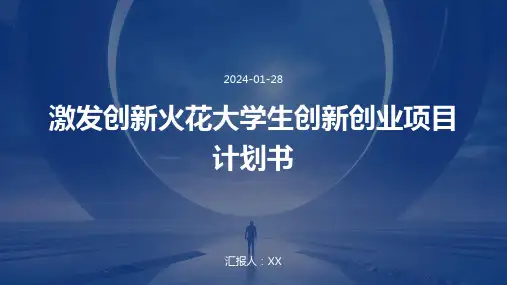 激发创新火花大学生创新创业项目计划书