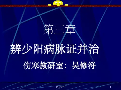 《少阳病篇吴修符》PPT课件
