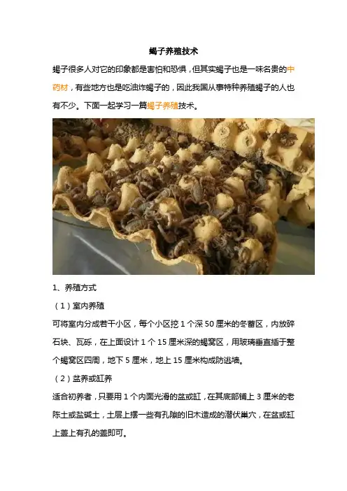 蝎子养殖技术