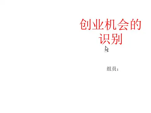 创业机会的选择和识别