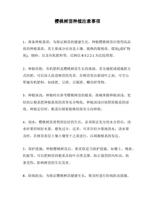 樱桃树苗种植注意事项
