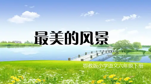 鄂教版小学语文六年级下册 作文 最美的风景