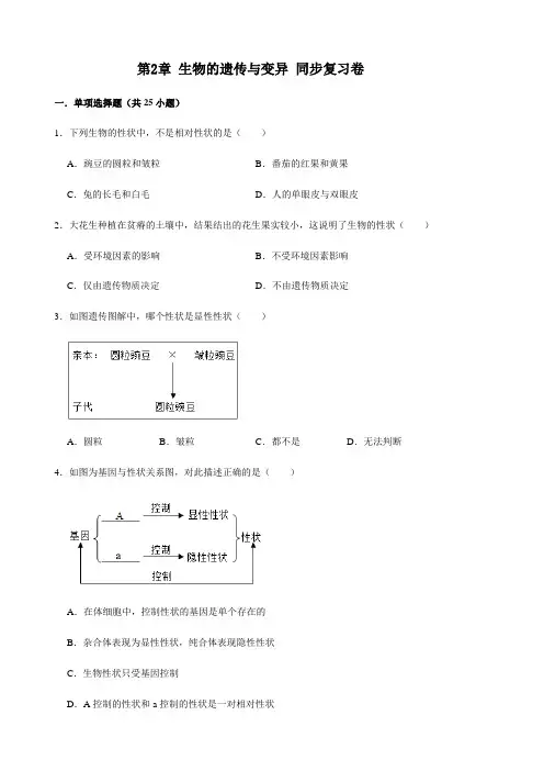 人教版生物八年级下册第七单元 第2章 生物的遗传和变异 同步复习卷(含答案)