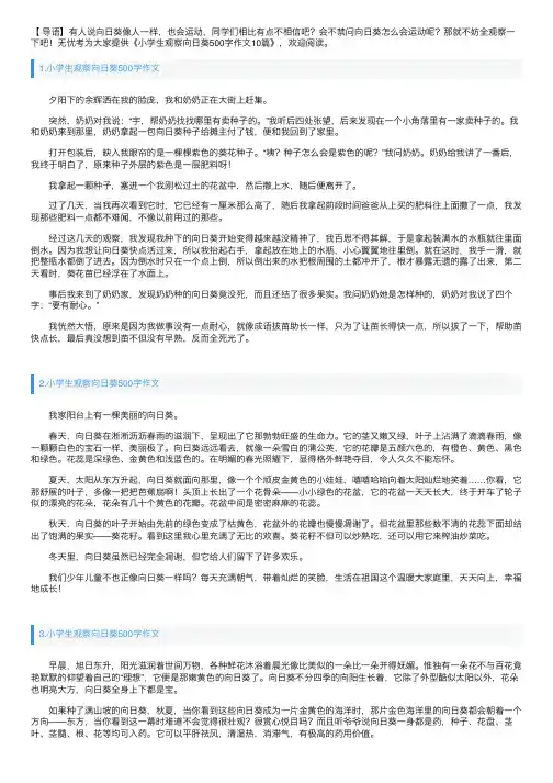 小学生观察向日葵500字作文10篇