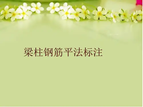 梁柱钢筋平法标注