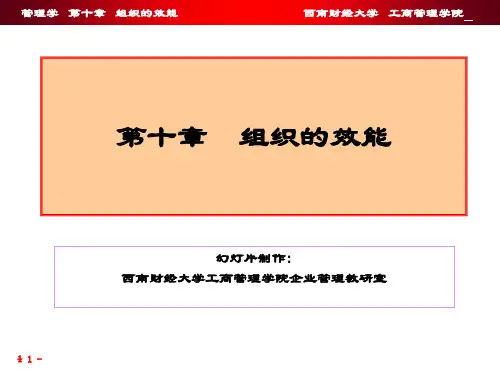 第十章组织的效能