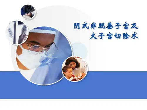 阴式子宫切除术