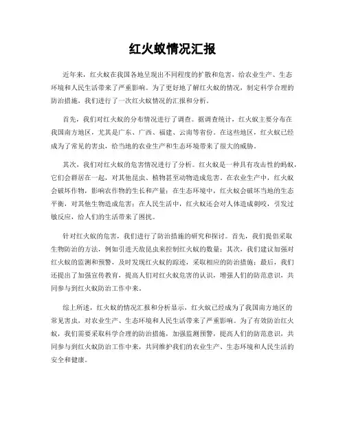 红火蚁情况汇报
