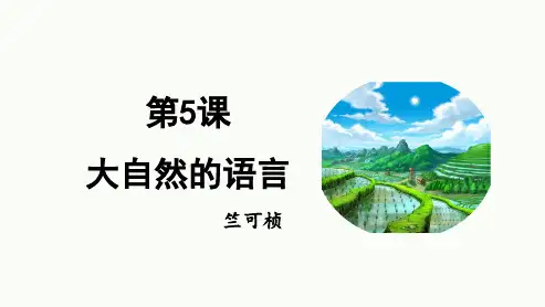 《大自然的语言》ppt课件