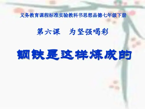 《钢铁是这样炼成的》为坚强喝彩课件ppt