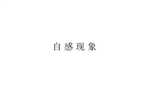 自 感 现 象PPT课件