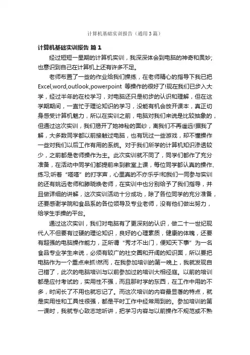 计算机基础实训报告（通用3篇）
