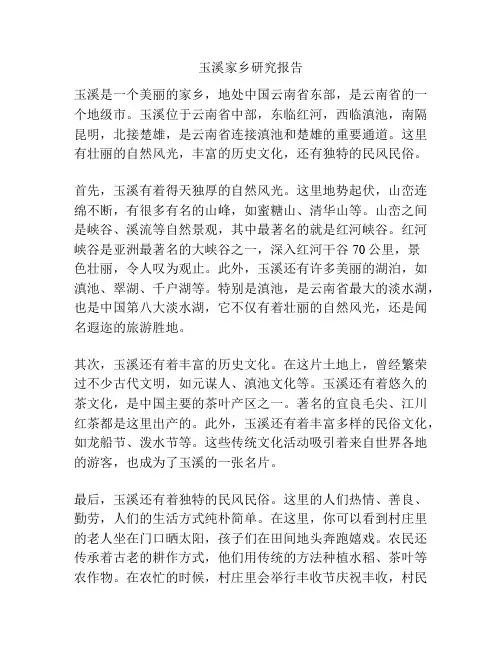 玉溪家乡研究报告