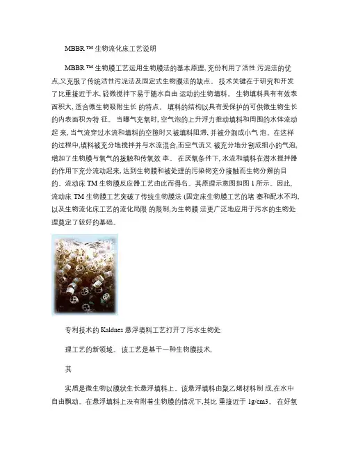 MBBR生物流化床工艺说明.