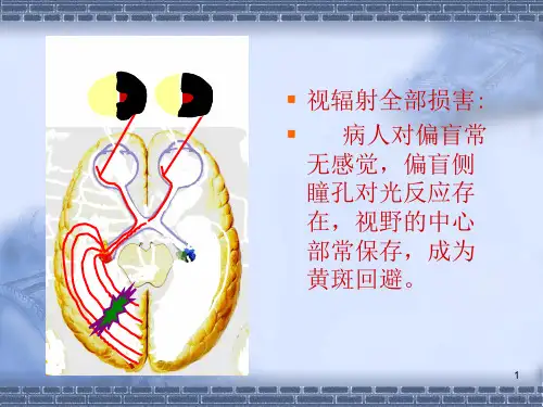 神经系统定位诊断精品PPT课件(参考)新版