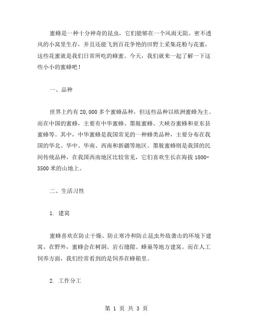 我们来学习蜜蜂(三年级下册语文教案14蜜蜂第二课时)