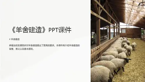 《羊舍建造》课件