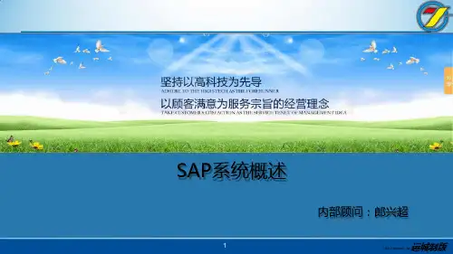 SAP系统概述