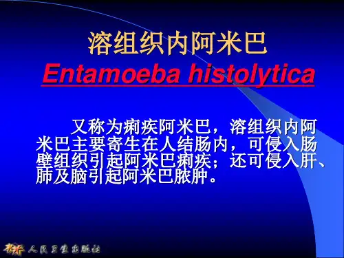 阿米巴原虫