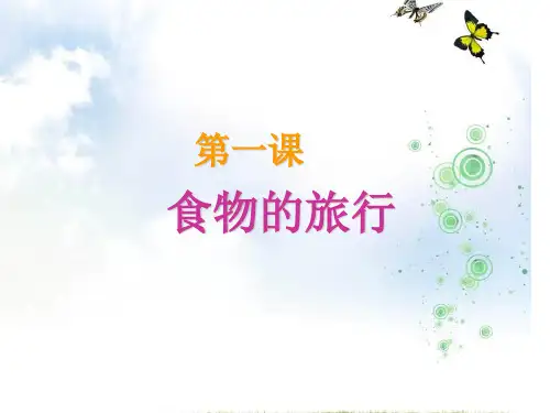 《食物的旅行》PPT课件