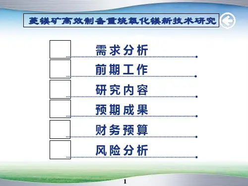菱镁矿高效制备重烧氧化镁新技术研究