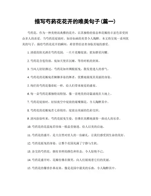 描写芍药花花开的唯美句子(精选合集2篇)