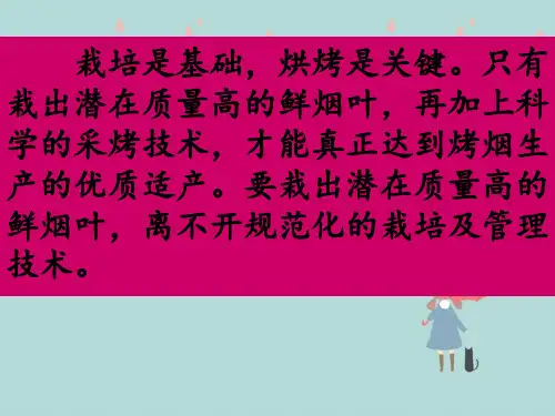 云南烤烟栽培及管理技术应用课件