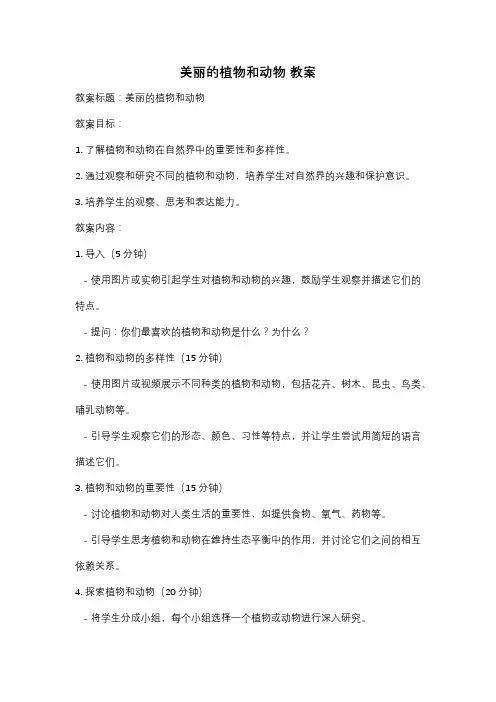 美丽的植物和动物 教案