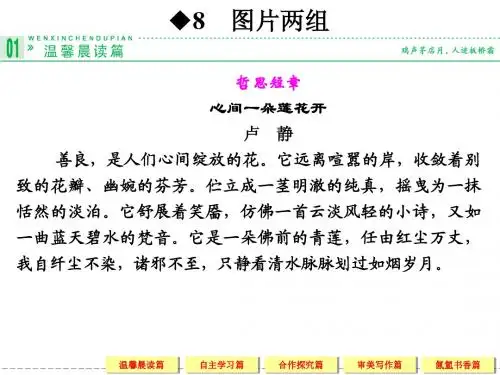 高一语文苏教版必修二【配套课件】8 图片两组
