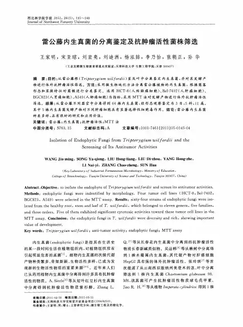 雷公藤内生真菌的分离鉴定及抗肿瘤活性菌株筛选
