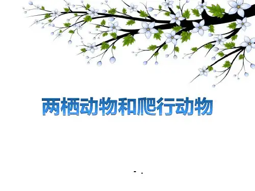 《两栖动物和爬行动物》PPT教学课件
