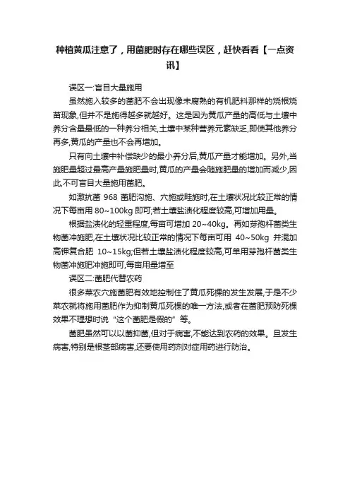 种植黄瓜注意了，用菌肥时存在哪些误区，赶快看看【一点资讯】