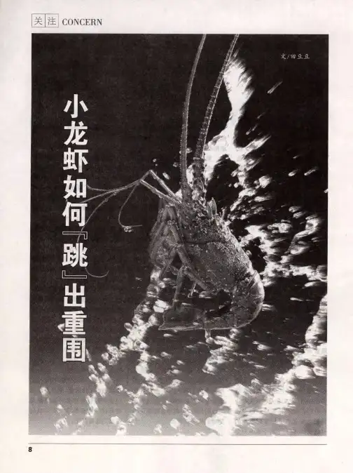 小龙虾如何‘跳”出重围？