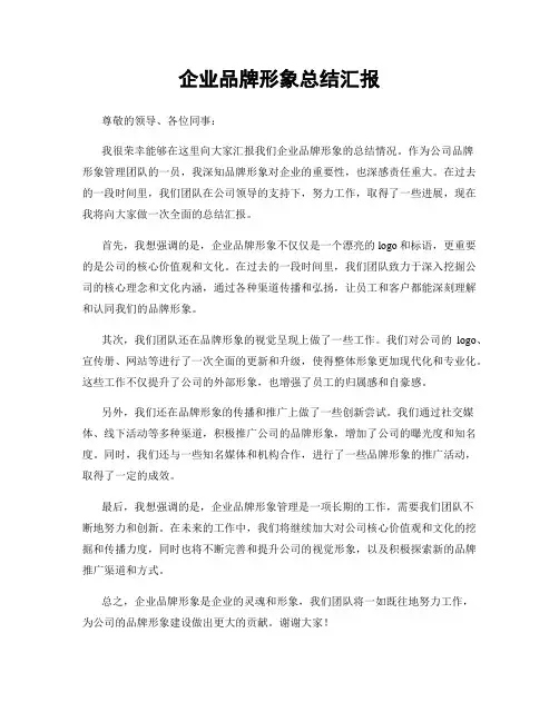 企业品牌形象总结汇报