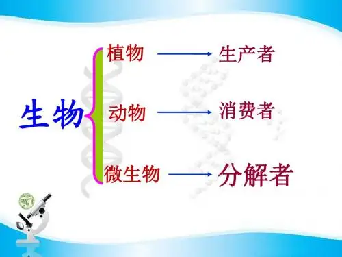 第18章第1节 微生物在生物圈中的作用