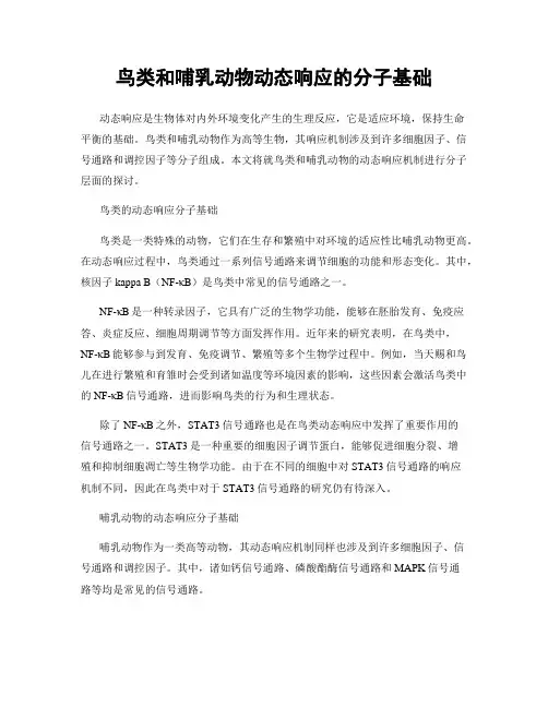 鸟类和哺乳动物动态响应的分子基础