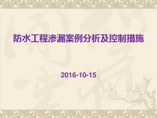 防水工程渗漏案例分析及控制措施ppt图文