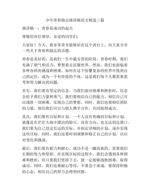 少年青春励志演讲稿范文精选三篇