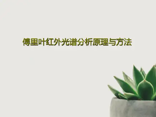 傅里叶红外光谱分析原理与方法PPT文档共110页
