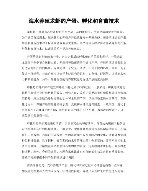海水养殖龙虾的产蛋、孵化和育苗技术