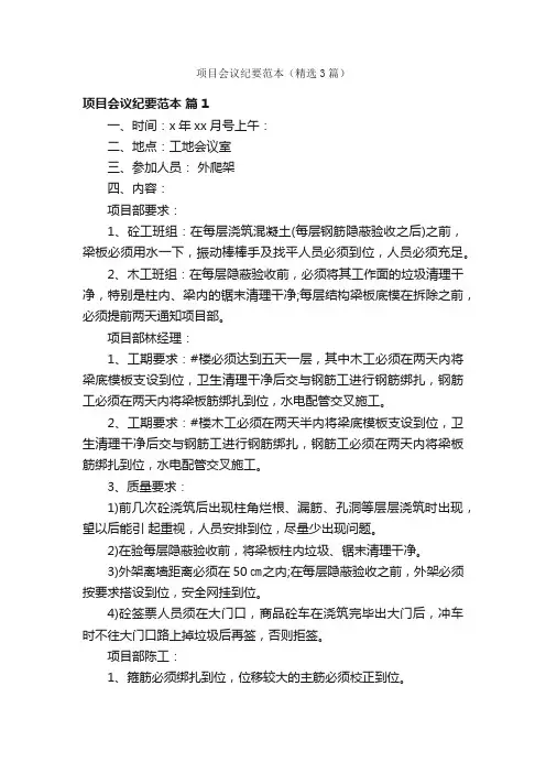 项目会议纪要范本(精选3篇)