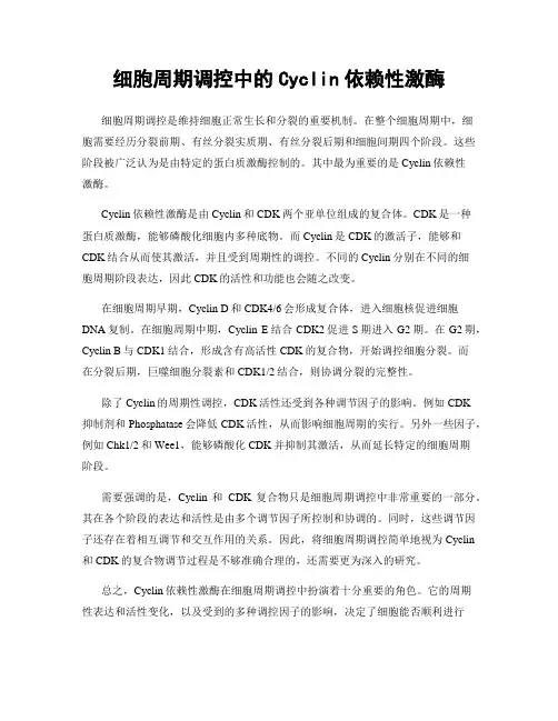 细胞周期调控中的Cyclin依赖性激酶