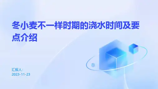 冬小麦不一样时期的浇水时间及要点介绍