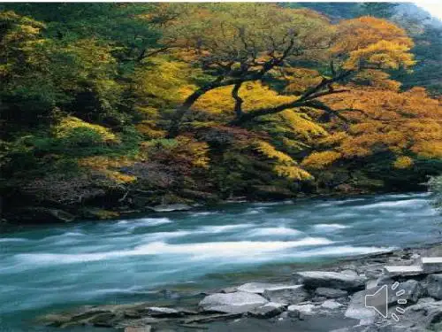 教科版语文二年级上册第单元《快活的小河》课件