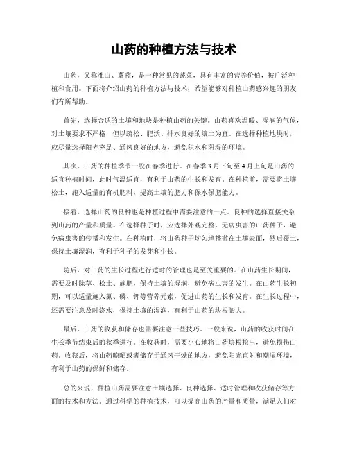 山药的种植方法与技术