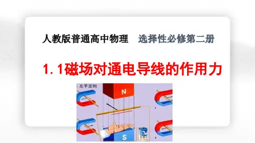 1.1磁场对通电导线的作用力 课件-2023年高二下学期物理人教版(2019)选择性必修第二册